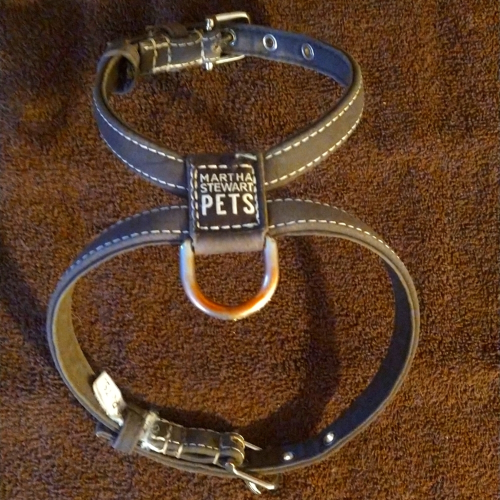 Dog Harness